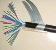 PTYA22,，PTY22,，PTYV信號電纜